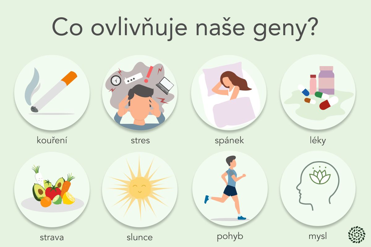 co ovlivňuje naše geny - infografika